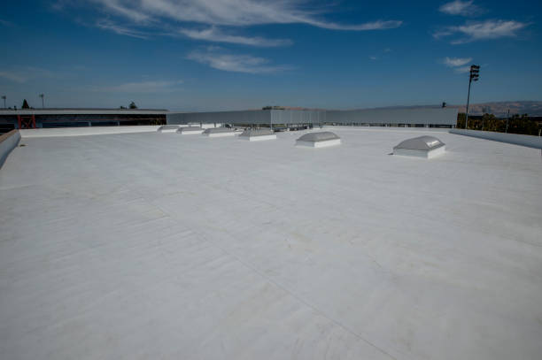 Best Roof Maintenance and Cleaning  in Chickamau, GA