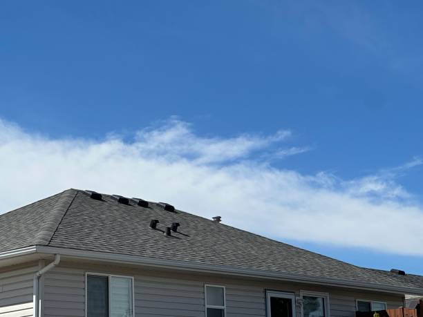 Best Rubber Roofing (EPDM, TPO)  in Chickamau, GA